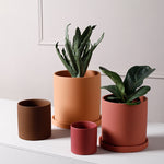 Load image into Gallery viewer, Cylindrical Shape Planter
