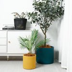 Load image into Gallery viewer, Cylindrical Shape Planter 17cm
