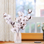 Load image into Gallery viewer, Natural Dried Cotton Flowers
