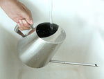 Load image into Gallery viewer, Stainless Steel Watering Pot
